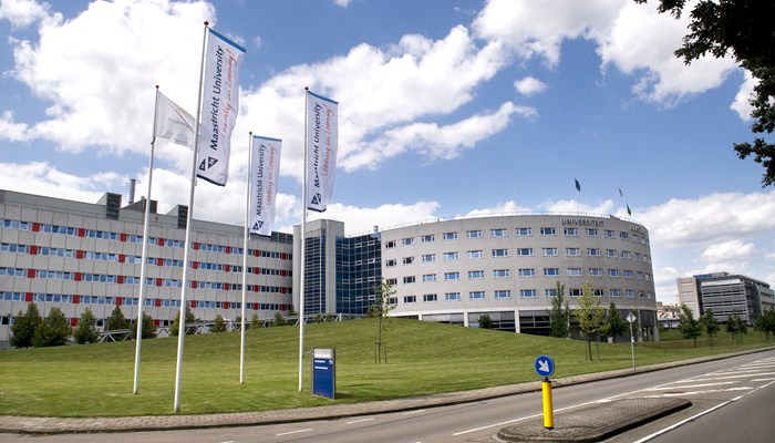 IDEE (Universiteit Maastricht )